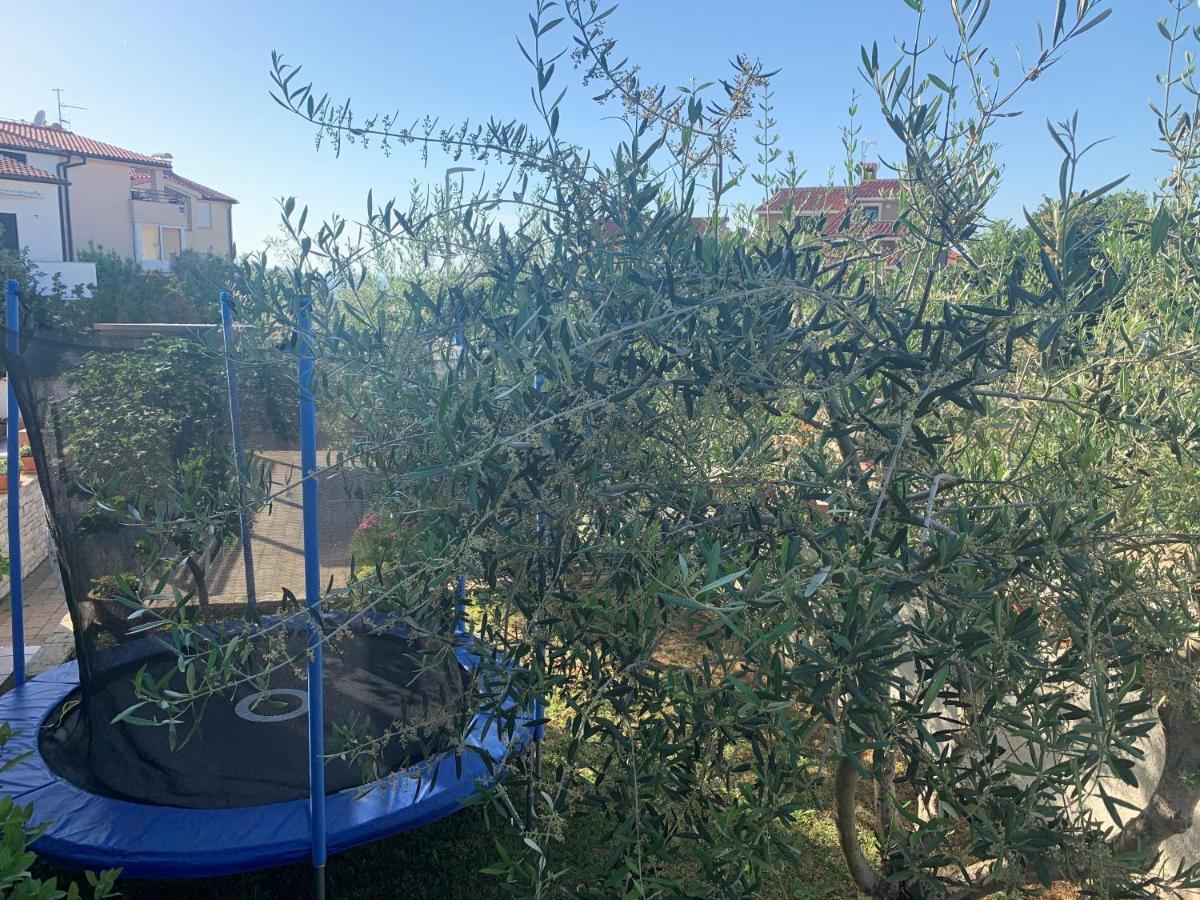 Villa Ulika - 3 Apt For 4 Persons Pula Exterior photo